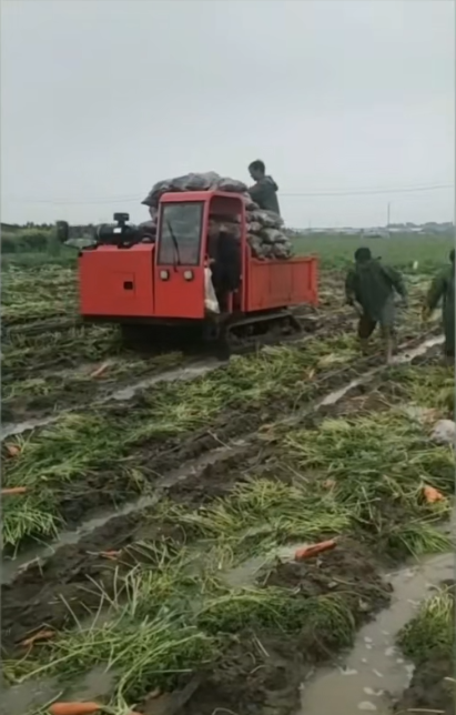 履帶式運輸車：征服復(fù)雜地形的全能戰(zhàn)士】